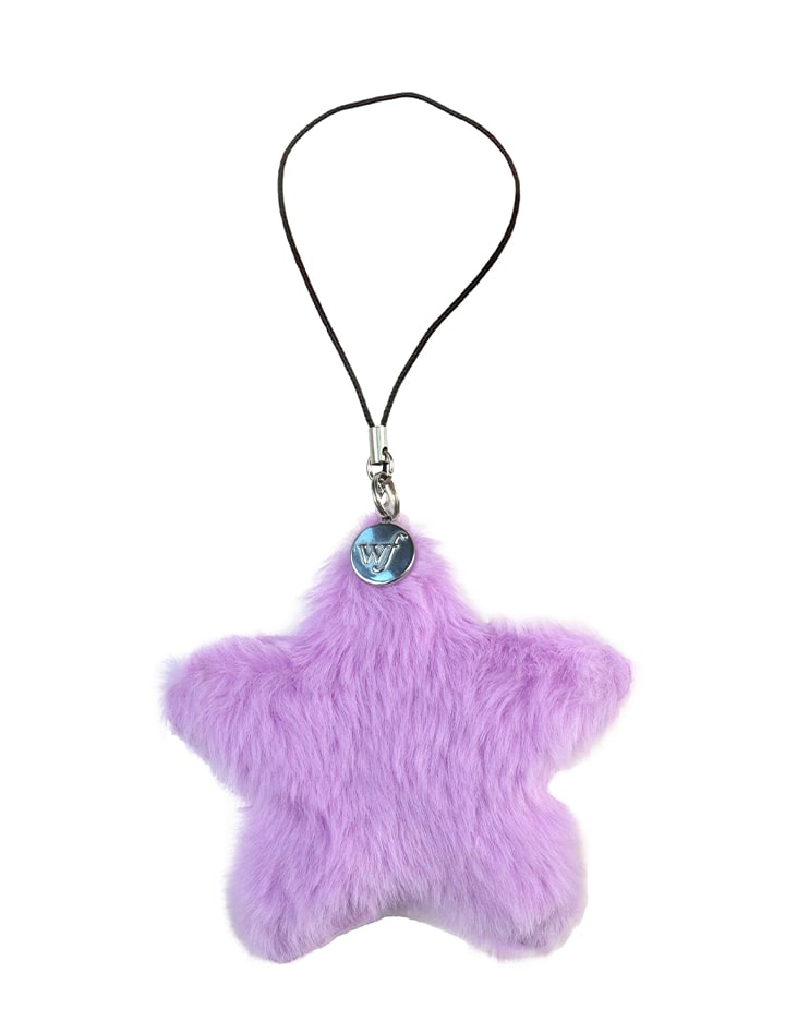 01-Fuzzy-purple-Star-PDP-Supporting-Images